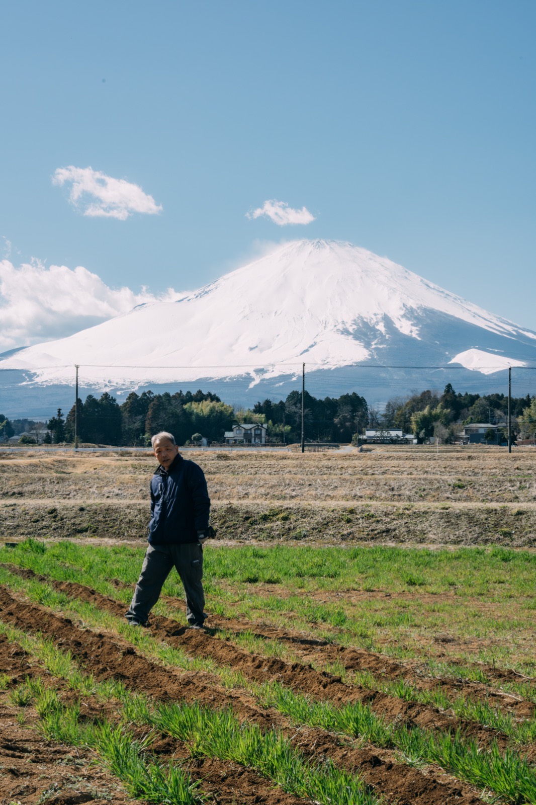 雪をかぶった山を背に、畑に立つ生産者